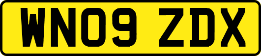 WN09ZDX