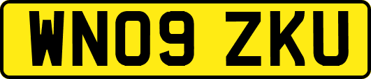 WN09ZKU