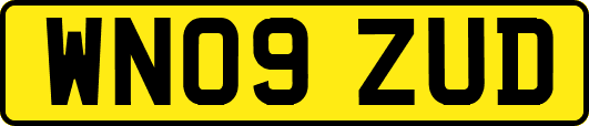 WN09ZUD
