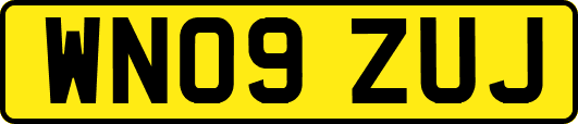 WN09ZUJ