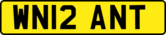 WN12ANT