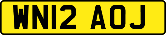 WN12AOJ
