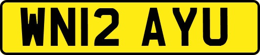WN12AYU