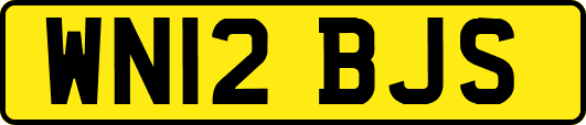 WN12BJS