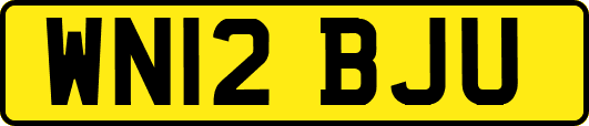WN12BJU