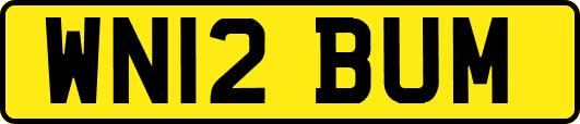 WN12BUM