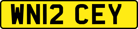 WN12CEY
