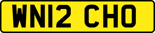 WN12CHO