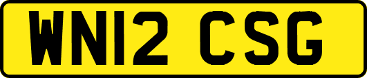 WN12CSG