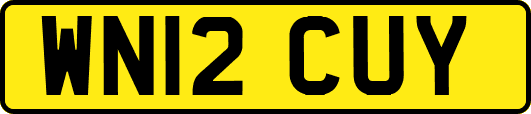 WN12CUY