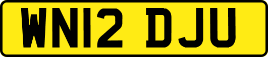WN12DJU