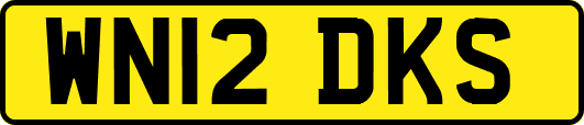 WN12DKS