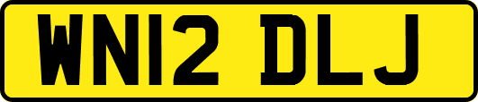 WN12DLJ