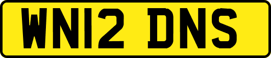 WN12DNS