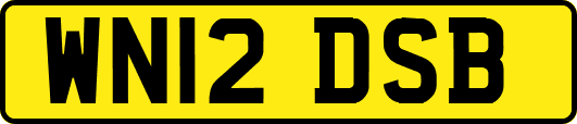 WN12DSB