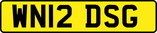 WN12DSG