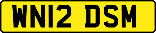 WN12DSM