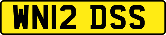 WN12DSS
