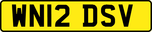WN12DSV