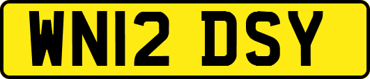 WN12DSY