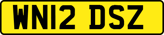 WN12DSZ