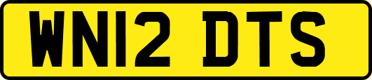 WN12DTS