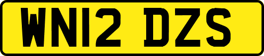 WN12DZS