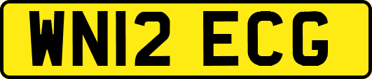 WN12ECG