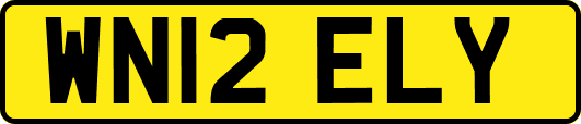 WN12ELY