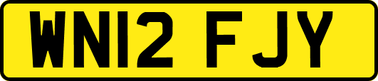 WN12FJY