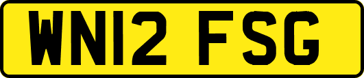WN12FSG