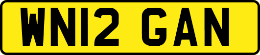 WN12GAN