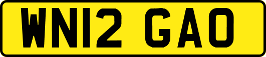 WN12GAO