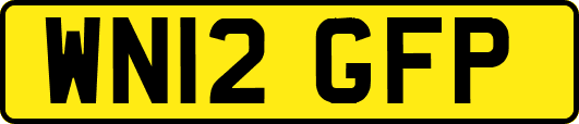WN12GFP