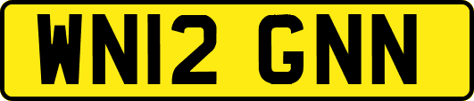WN12GNN