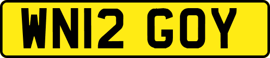 WN12GOY