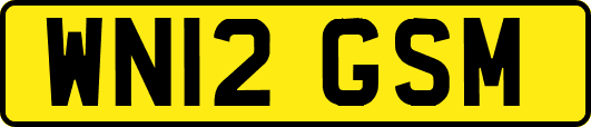 WN12GSM