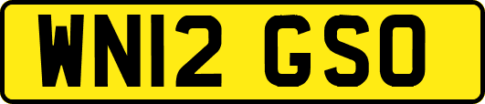 WN12GSO