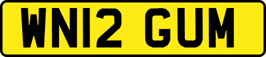 WN12GUM