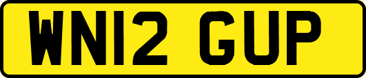 WN12GUP