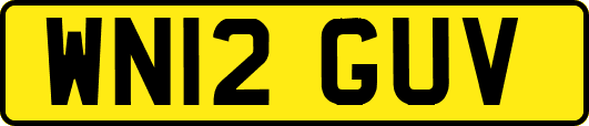 WN12GUV