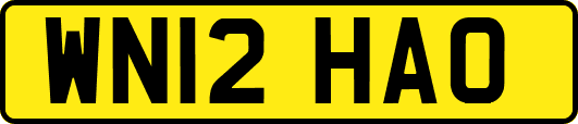 WN12HAO