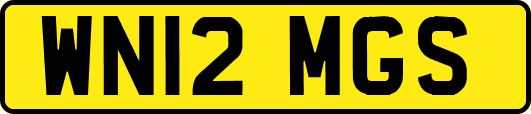WN12MGS