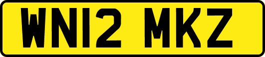 WN12MKZ