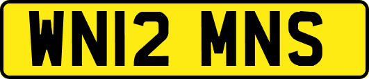 WN12MNS