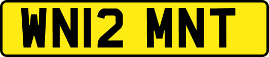 WN12MNT