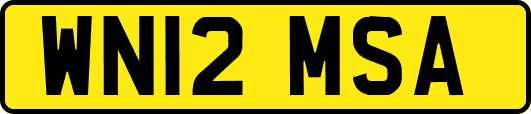 WN12MSA