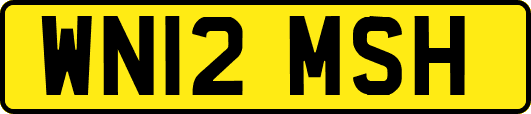 WN12MSH