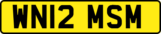 WN12MSM