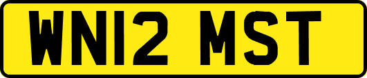 WN12MST